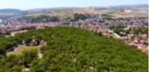 Samsun'un göz bebeği 'Kılavuz Ormanı' yapılan projeler ile tekrar canlanacak