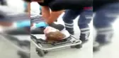 Adana'da Suriyeli gencin vurulması olayında polis memuru, hakim karşısında