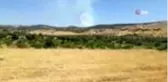 Kilis'te korkutan orman yangını
