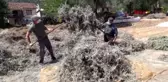 Doğadan gelen sağlık; elma yağı