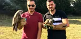 Çekmeköy'de tedavisi tamamlanan 6 şahin doğaya salındı