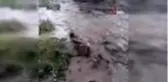 Kars'ta sağanak yağmur sel getirdi