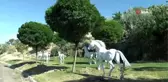 Ürgüp Belediyesi ilçe girişlerine at maketleri yerleştirdi