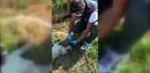 BURSA Polis memuru, baygınlık geçiren köpeğe elleriyle su içirdi