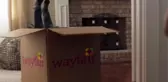 Çocuk ticareti yaptığı iddia edilen Wayfair'in tepki çeken reklam filmi FedEx'in çıktı