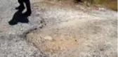 Tütün toplamaya gitmişti, kazada hayatını kaybetti