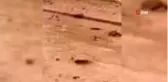 Erzincan'da dereden taşan sel suları mahallenin ortasından geçti