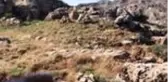 İçişleri Bakanlığı: 5 sivili şehit eden terörist etkisiz hale getirildi