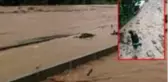 Rize'deki sel felaketinde sulara kapılan kişi korku dolu anları anlattı