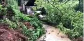Rize'deki şiddetli yağışın ardından (2)