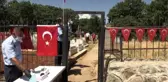 15 Temmuz Demokrasi ve Milli Birlik Günü
