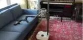 ABD'li robot firmasının ev işlerine yönelik geliştirdiği Stretch 17 bin 950 dolardan...