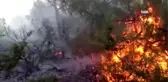 Adıyaman'da ikinci orman yangını