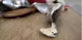 KİLİS Azez'deki terör saldırısında ilaç dağıtım merkezi tahrip oldu