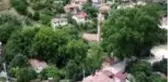 Köy çocukları 150 yıllık ağaçları boyadı