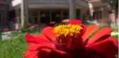 Emet Termal Resort&Spa Otel'e 