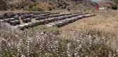 Kulp'ta organik bal hasadına başlandı