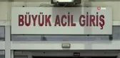 Arabada arı soktu, hayatını kaybetti