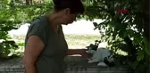 SAKARYA Bahçedeki engelli kediyi silahla ateş ederek öldürdüler