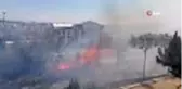 Alkol alırken yaktıkları ateş onlarca ağacı küle çevirdi