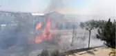 Alkol alırken yaktıkları ateş onlarca ağacı küle döndürdü
