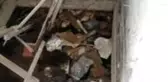 Böyle vicdansızlık görülmedi! Kedinin gözlerini oyup yakarak öldürdüler