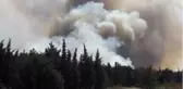 Edirne'de orman yangını
