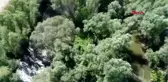 MANİSA Gediz Nehri'ndeki adacıklara ekili hintkenevirleri drone ile tespit edildi