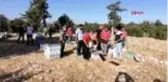 MERSİN Arıları sinek ilacıyla öldürülüp balları çalınan üreticiler tepkili
