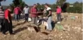 Mersin'de arı kovanlarına sinek ilaçlı saldırı