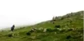 Giresun'da yaylada kaybolan kız çocuğu aranmaya devam ediliyor