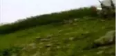 Giresun'un Bulancak ilçesi Semen Yaylası'nda kaybolan Elif her yerde aranıyor
