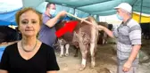 Bilim Kurulu üyesi kurban pazarlarındaki tokalaşma çubuğuna karşı uyardı