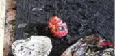 Evde çıkan yangında 5 aylık bebek hayatını kaybetti, 2 yaşındaki ablası yaralandı