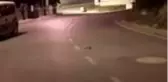 Silahlı kavga: 1 yaralı