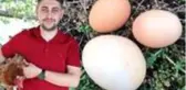 İriliğiyle dikkati çeken yumurtanın içinden bir yumurta daha çıktı