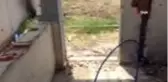 Şehidin adını taşıyan okulu hırsızlar talan etti