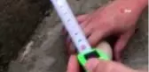 Yumurtanın içinden yumurta çıktı, vatandaş şaştı kaldı