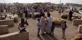 Fırat Kalkanı ve Zeytin Dalı bölgelerinde Kurban Bayramı hazırlıkları - BAB
