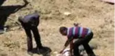 Kurbanlık yüklü kamyon şarampole devrildi: 3 kişi yaralandı, çok sayıda hayvan telef oldu