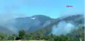 Çanakkale Yenice'deki orman yangınına ekiplerin müdahalesi sürüyor