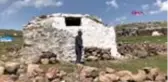 KARS 83'lük Muharrem dede, yaylada eskiyen evini yıktı, yenisini inşa etti