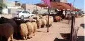 Trablus'ta Hafter saldırılarıyla kötüleşen ekonomi, kurban satışlarına da yansıdı