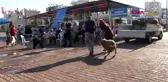 ANTALYA Büyükşehir'den ücretsiz, randevulu ve hijyenik kurban kesimi