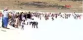 Son dakika haberi | BURDUR MARS'A GİTMEK YERİNDE SALDA GÖLÜ'NE GELDİLER