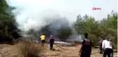 Sinop'ta 2 ilçedeki ormanlık alanlarda yangın