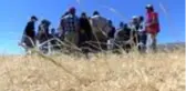 Sivas'ta hasat öncesi dolu yağan bölgede tespit çalışmaları yapılıyor