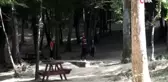 Bayram sonrası Belgrad Ormanı sessizliğe büründü
