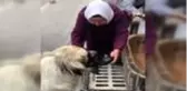 Yaşlı kadının yaptığı hareket gönülleri fethetti