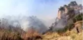 Zeytin ve incir ağaçlarının bulunduğu alanda yeniden yangın çıktı